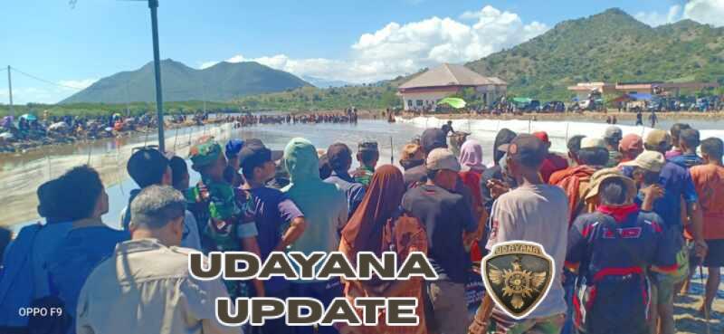 Danramil Poto Tano Pantau Kegiatan Seni Budaya Barapan Kerbau di BLK Desa Poto Tano