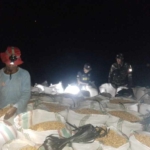 Babinsa Koramil 1614-04/Kilo Himbau Warga Waspadai Pencurian Jagung di Musim Panen