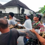 Respons Cepat Babinsa Ketewel, Bantu Evakuasi Warga Terseret Arus Sungai Beji Anakan
