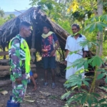Lahan Kebun Rusak Diterjang Ternak, Babinsa Tunbes Turun Tangan dan Himbau Warga